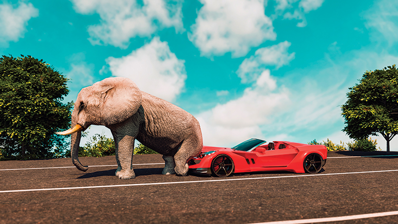 elefante seduto sul cofano di un'auto sportiva rossa